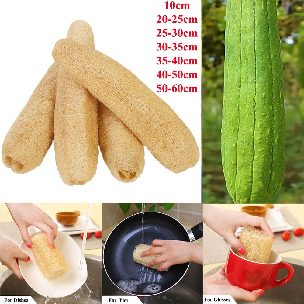Body Loofah Natural - Natural Loofah Luffa Sponge Long Ecological