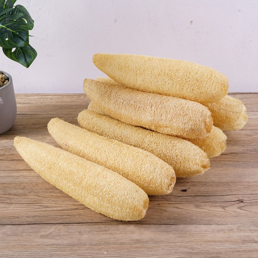 Natural Loofah Luffa Sponge No - Body Loofah Natural recension och pris